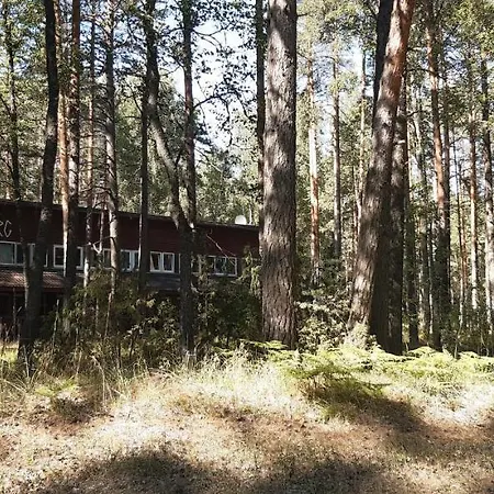 Maenni Puhkebaas Pensión